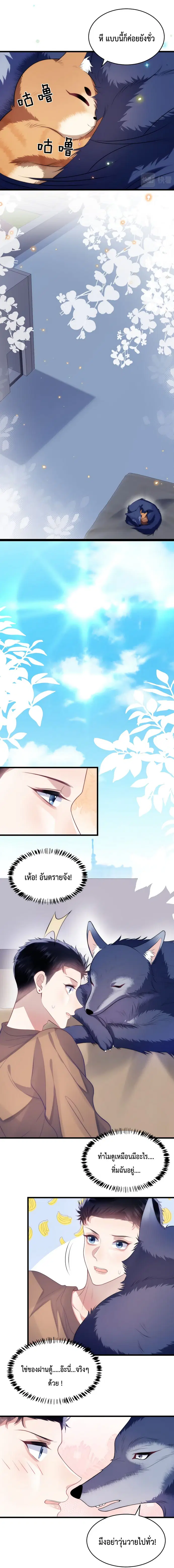 Little Cat Big Love ตอนที่ 19 หน้า 3