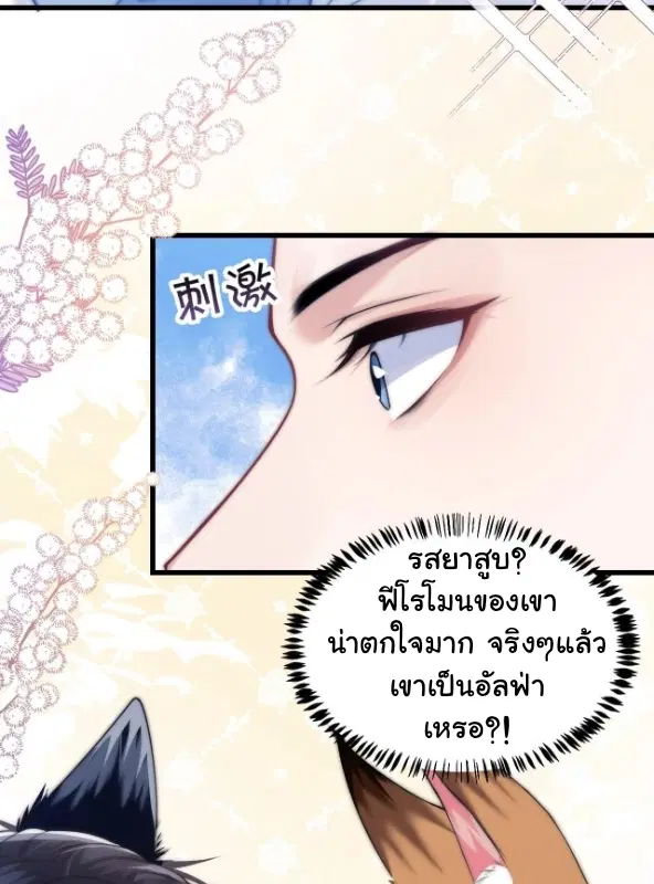 Little Cat Big Love ตอนที่ 2 หน้า 3