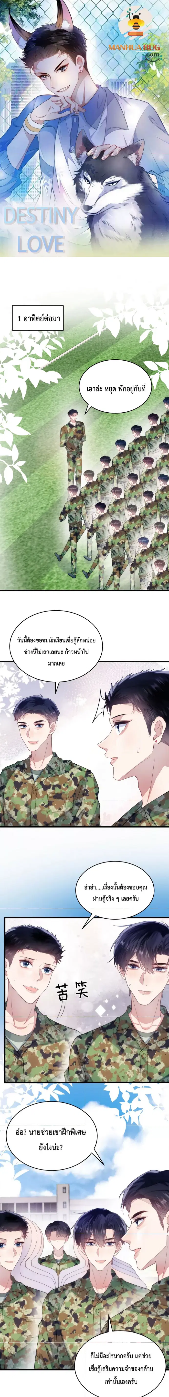 Little Cat Big Love ตอนที่ 21 หน้า 1