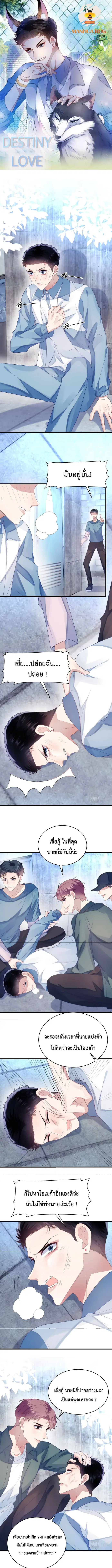 Little Cat Big Love ตอนที่ 23 หน้า 1