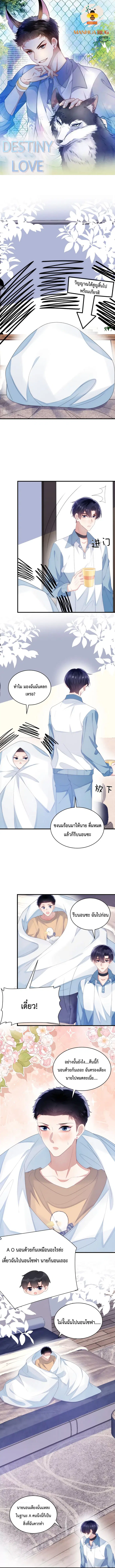 Little Cat Big Love ตอนที่ 28 หน้า 1