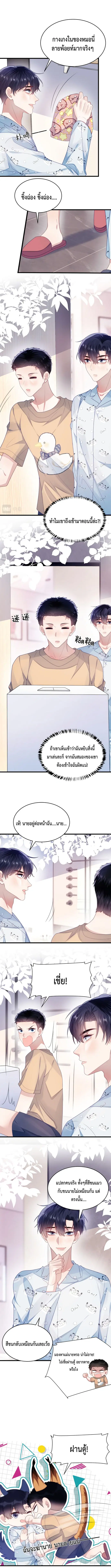 Little Cat Big Love ตอนที่ 29 หน้า 2