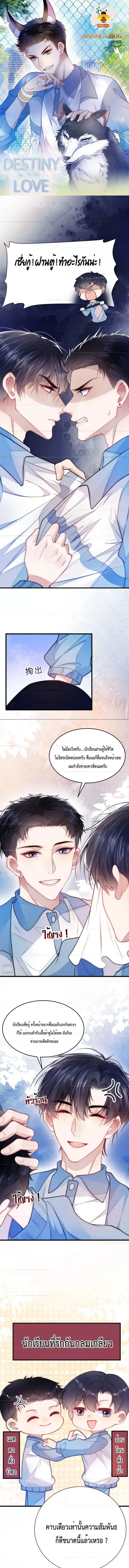 Little Cat Big Love ตอนที่ 3 หน้า 1