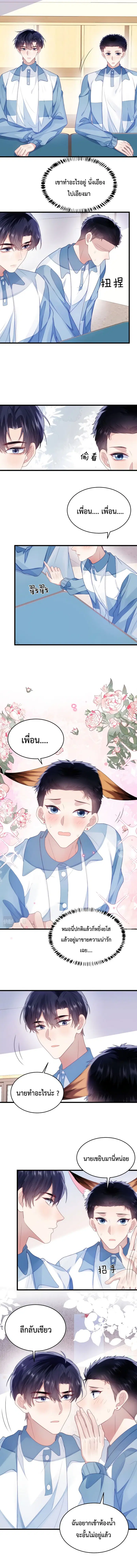 Little Cat Big Love ตอนที่ 31 หน้า 2