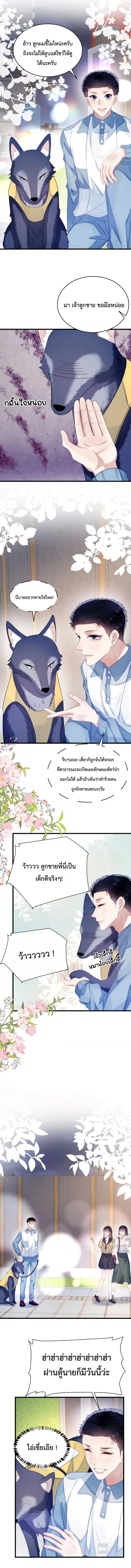 Little Cat Big Love ตอนที่ 33 หน้า 3
