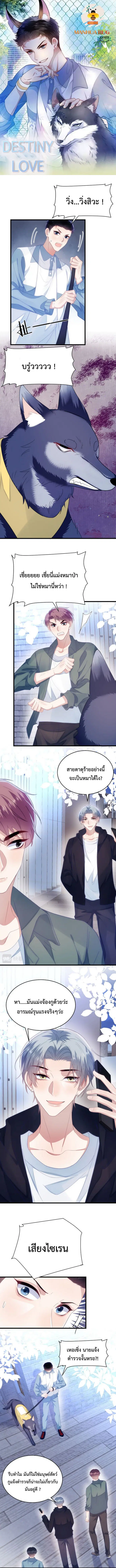 Little Cat Big Love ตอนที่ 34 หน้า 1