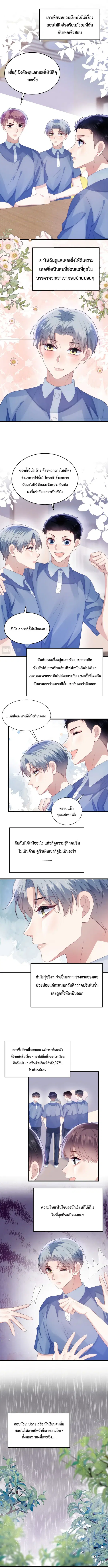 Little Cat Big Love ตอนที่ 37 หน้า 3