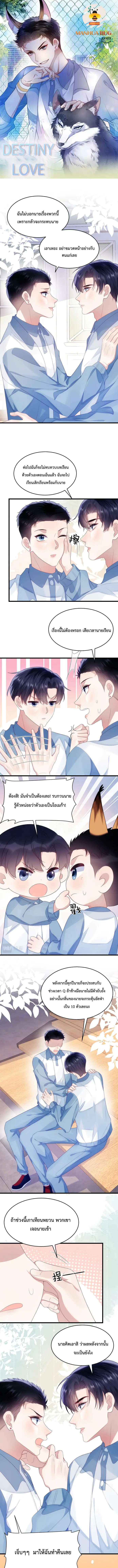 Little Cat Big Love ตอนที่ 38 หน้า 1
