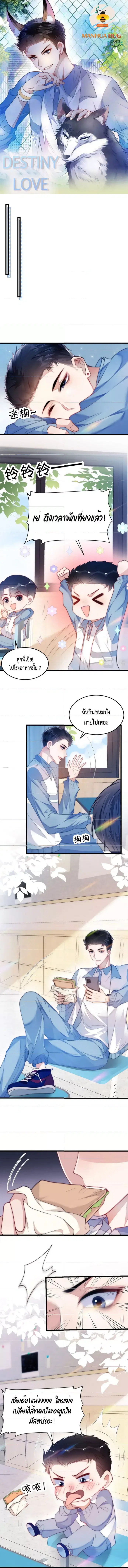 Little Cat Big Love ตอนที่ 4 หน้า 1