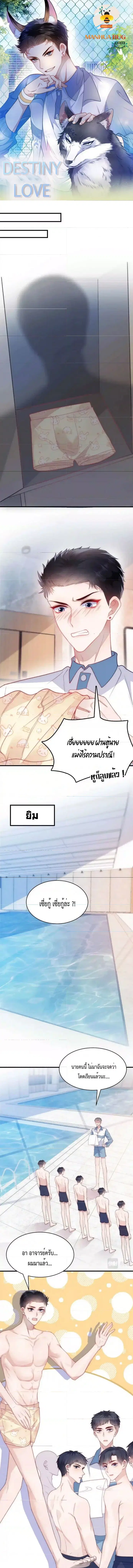Little Cat Big Love ตอนที่ 7 หน้า 1