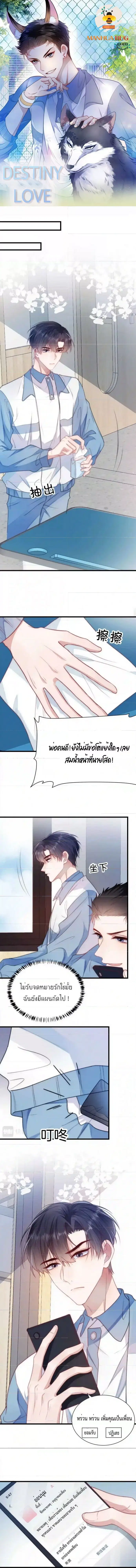 Little Cat Big Love ตอนที่ 8 หน้า 1