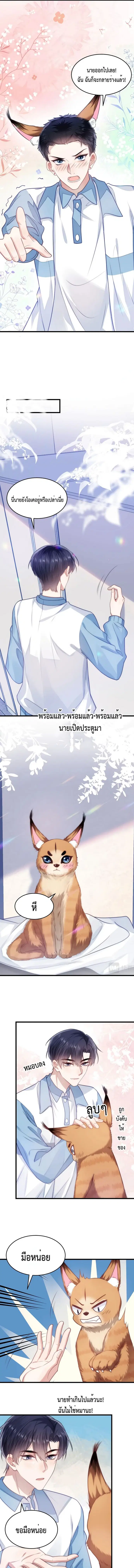 Little Cat Big Love ตอนที่ 9 หน้า 2