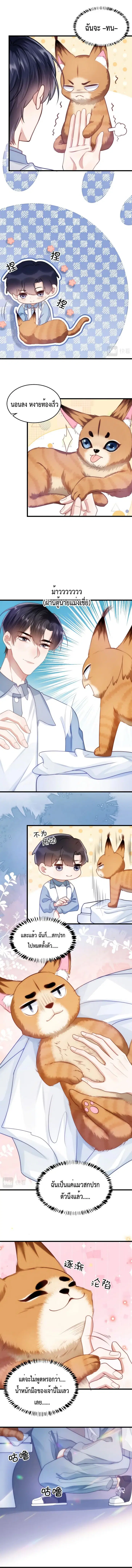 Little Cat Big Love ตอนที่ 9 หน้า 3