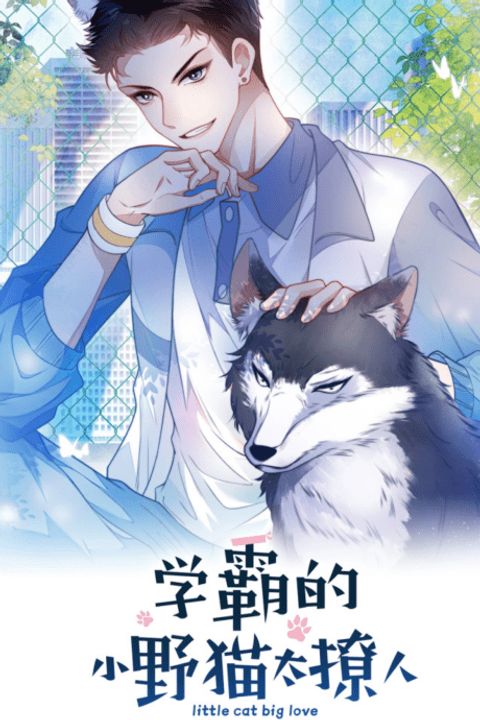 ปก Little Cat Big Love มังงะจีน แปลไทย