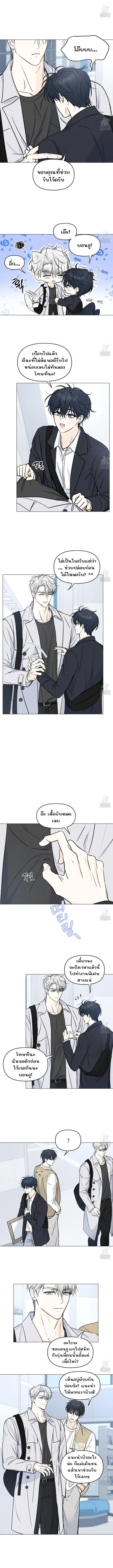 Lovestruck ตอนที่ 4 หน้า 3