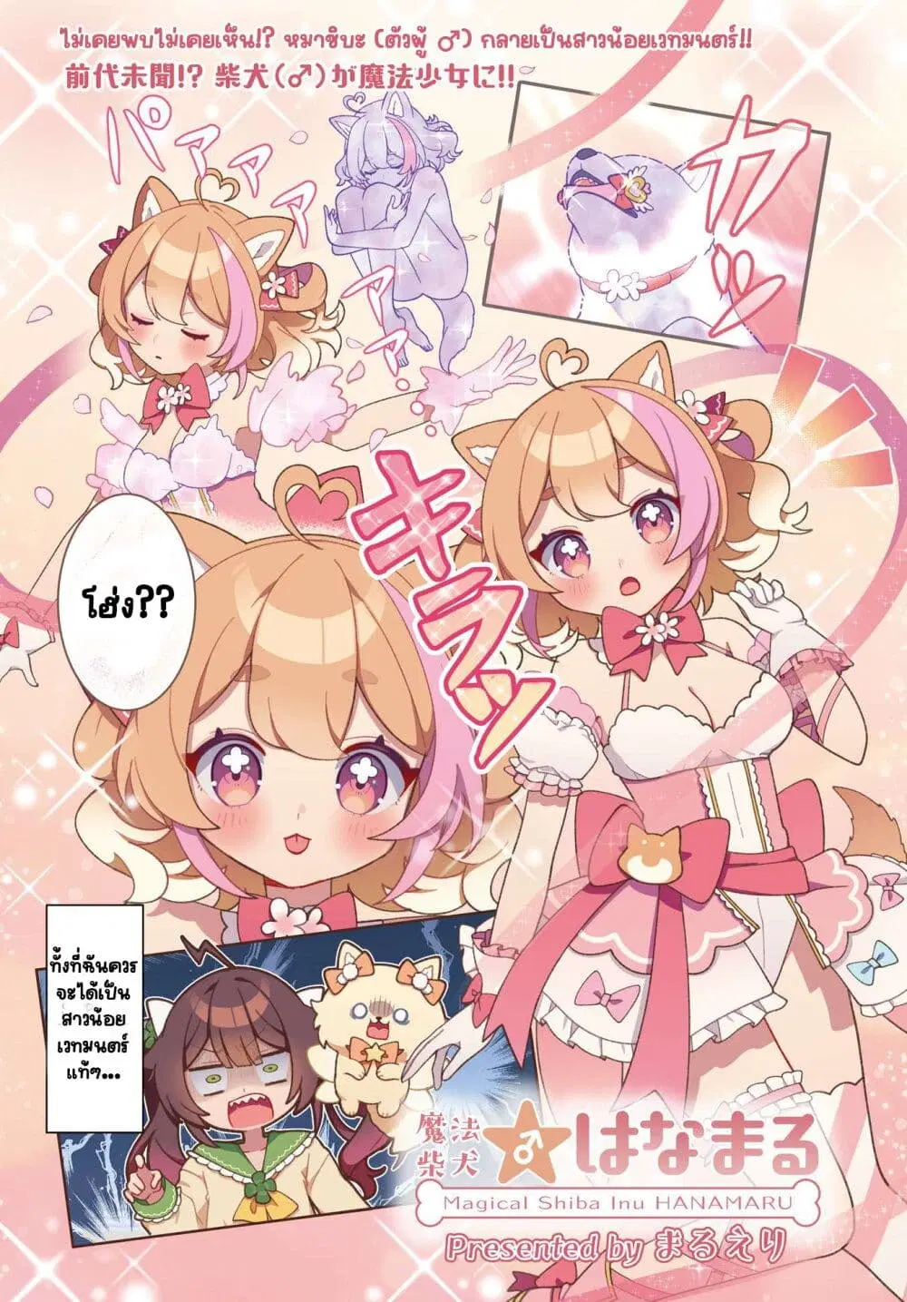 Mahou Shiba Inu★Hanamaru ตอนที่ 1 หน้า 3