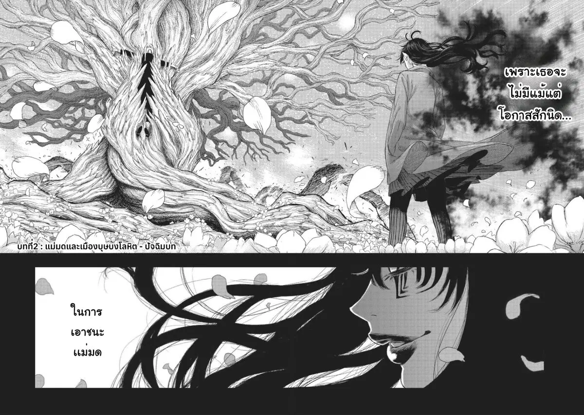 Majo to Yajuu – [The Witch and the Beast ตอนที่ 2 หน้า 2