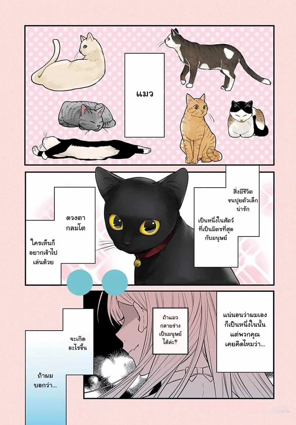Mi-chan wa Kawaretai ตอนที่ 1 หน้า 2