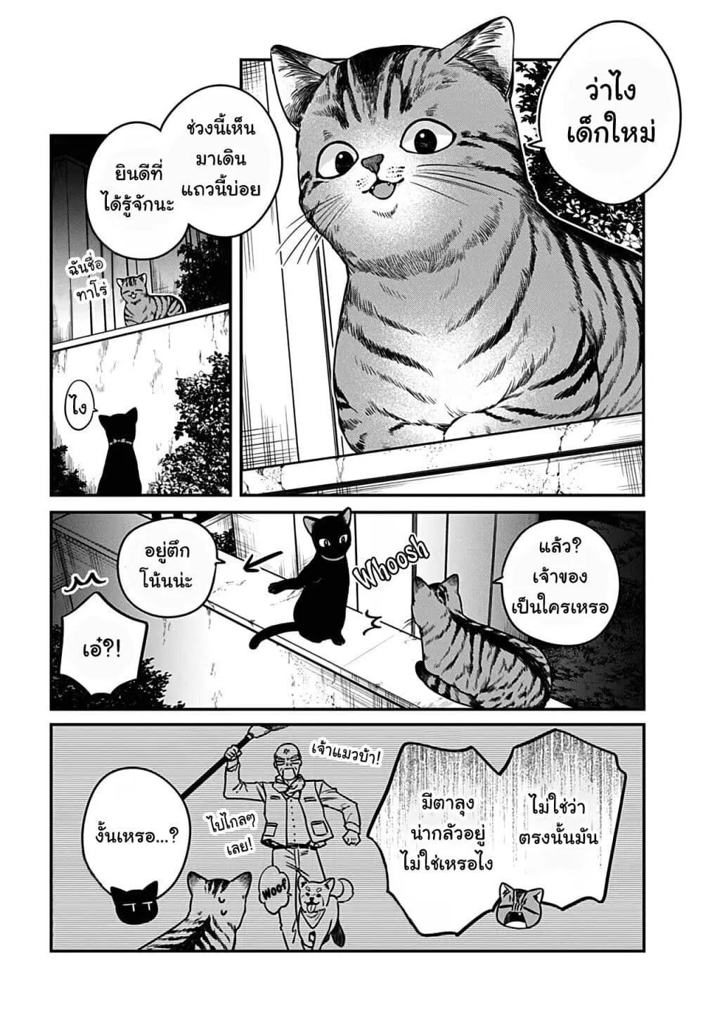 Mi-chan wa Kawaretai ตอนที่ 5 หน้า 3
