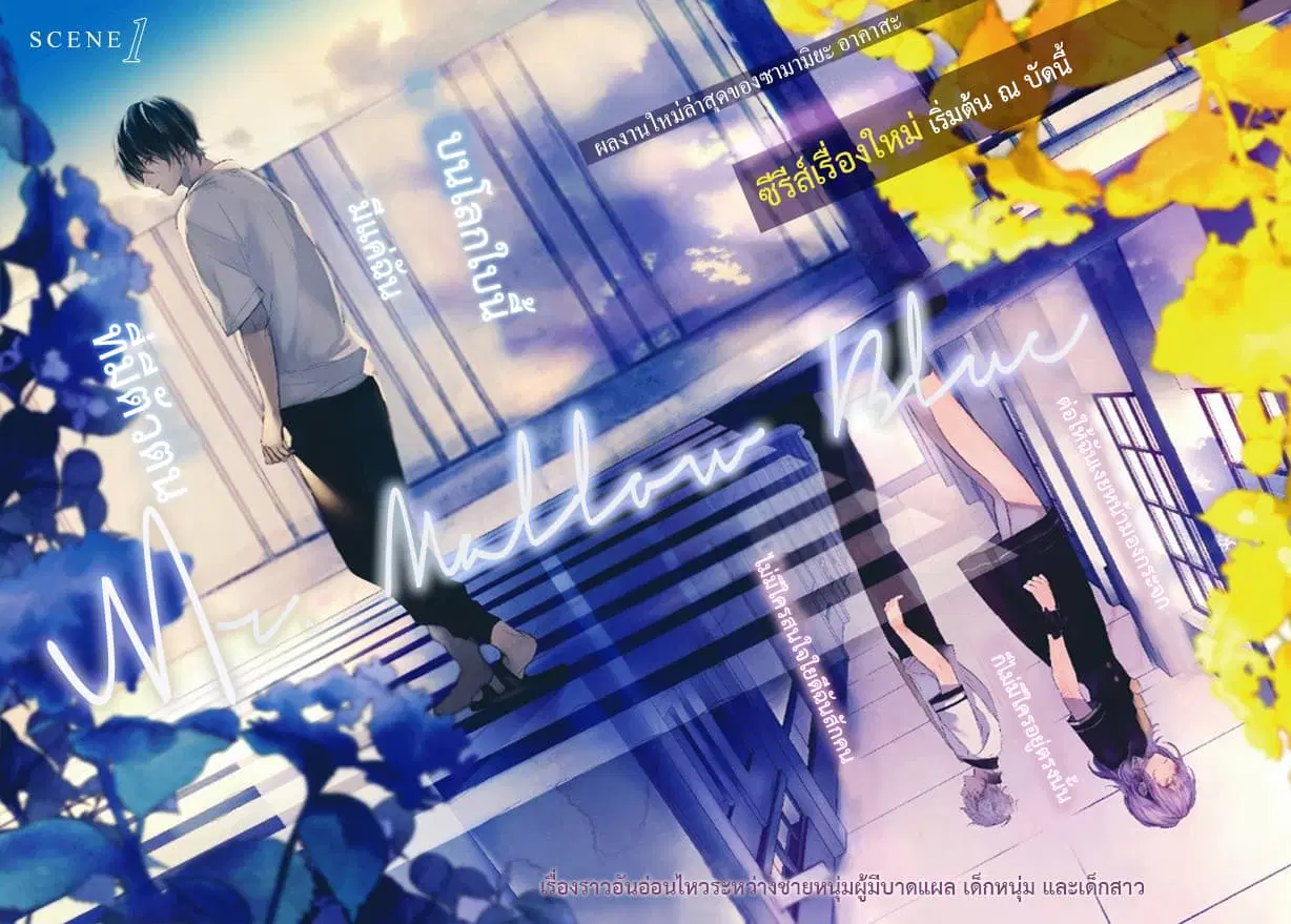 Mr. Mallow Blue ตอนที่ 1 หน้า 1