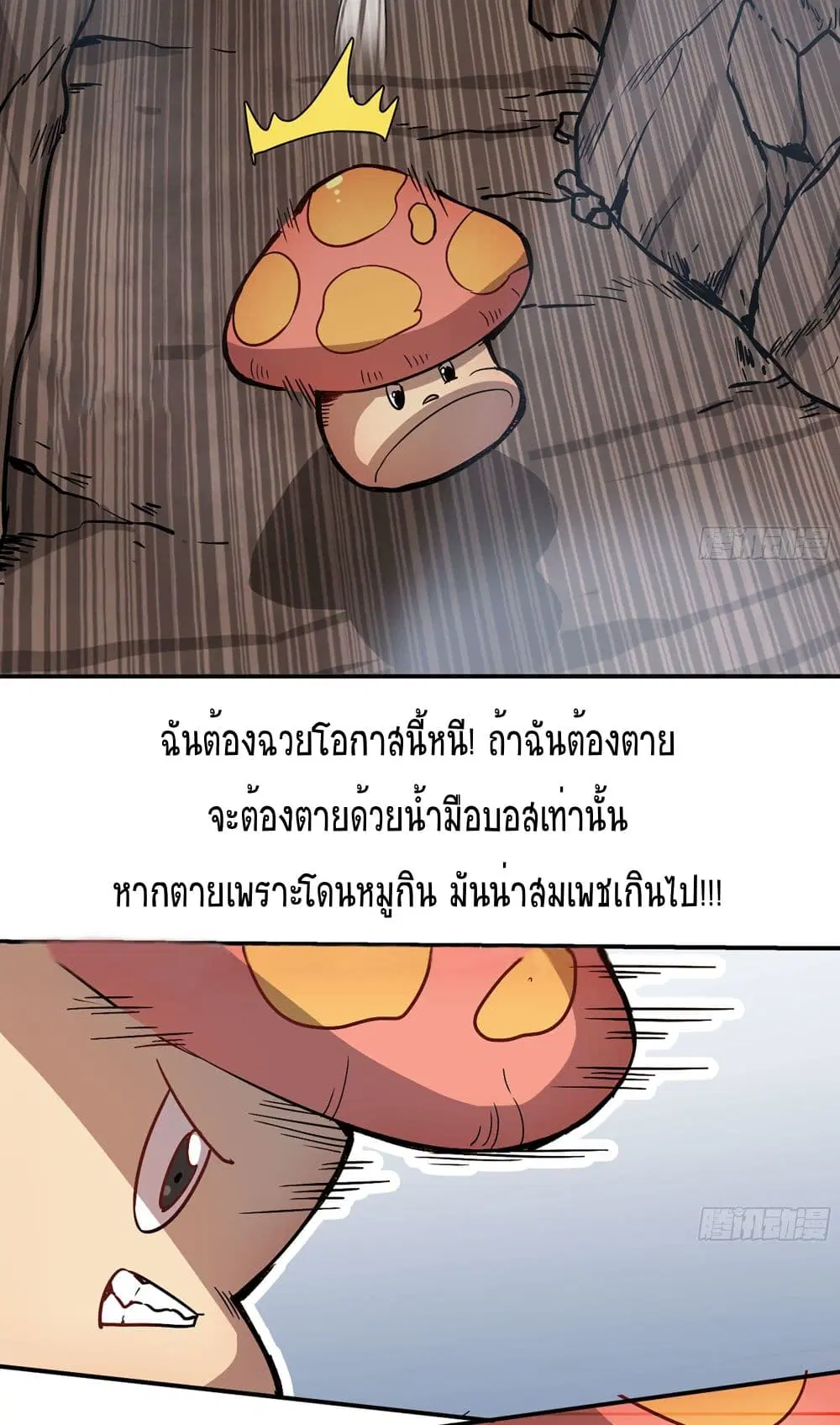 Mushroom Brave ตอนที่ 10 หน้า 3