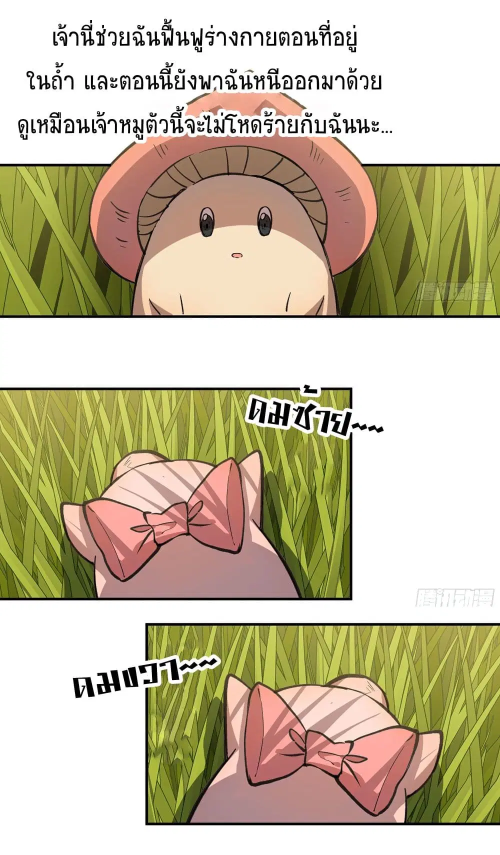 Mushroom Brave ตอนที่ 12 หน้า 2