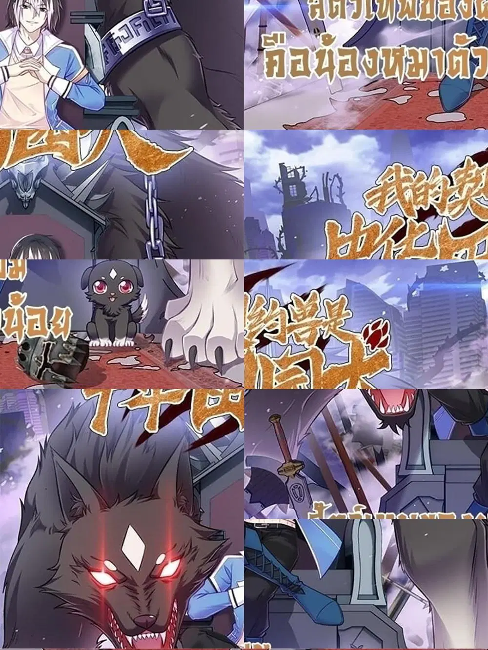 My Contract Beast Is a Chinese Pastoral Dog ตอนที่ 11 หน้า 1