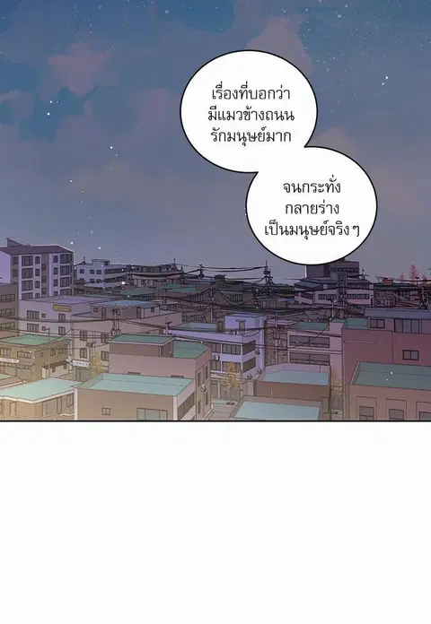 My one and only cat ตอนที่ 1 หน้า 3