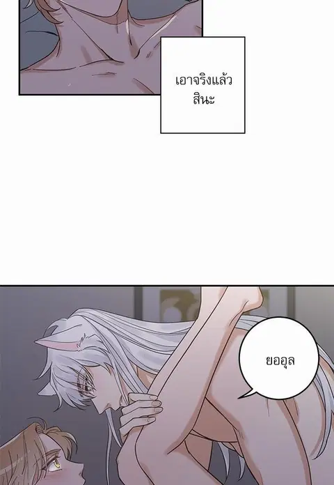 My one and only cat ตอนที่ 13 หน้า 2