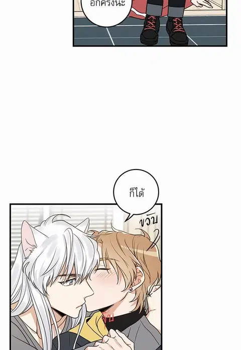 My one and only cat ตอนที่ 15 หน้า 3