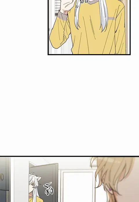My one and only cat ตอนที่ 17 หน้า 3