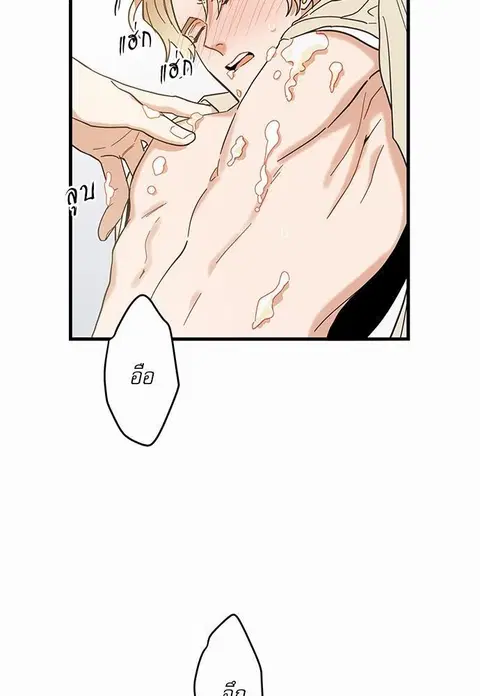 My one and only cat ตอนที่ 19 หน้า 2