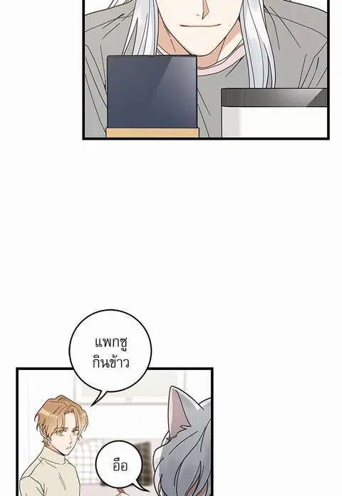 My one and only cat ตอนที่ 20 หน้า 3