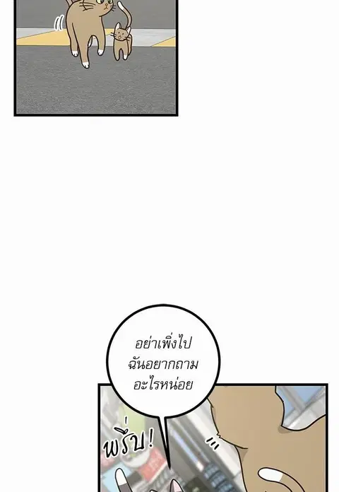My one and only cat ตอนที่ 21 หน้า 2