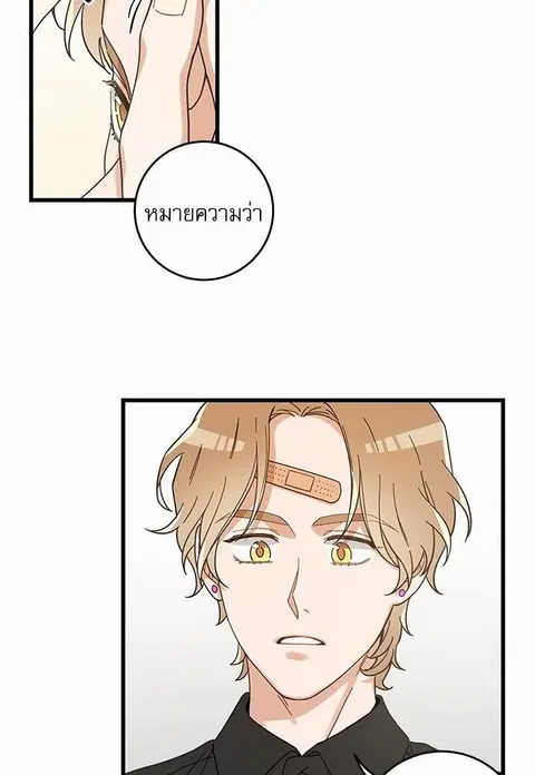My one and only cat ตอนที่ 24 หน้า 2