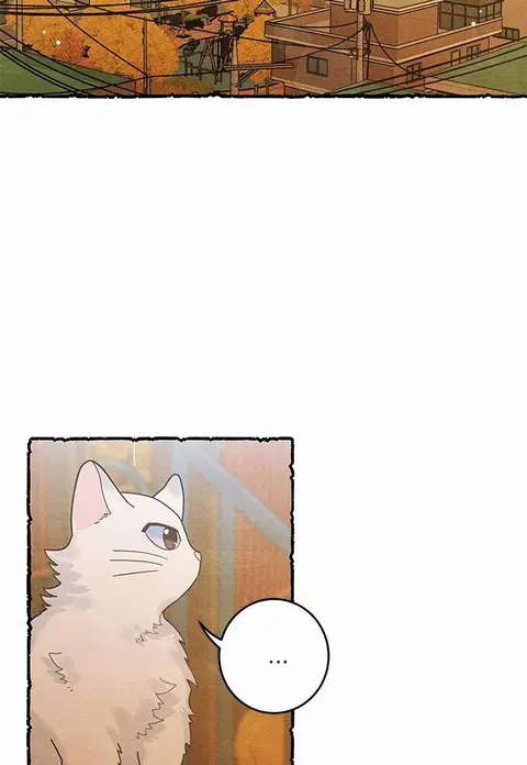 My one and only cat ตอนที่ 25 หน้า 2