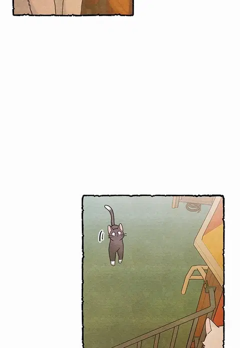 My one and only cat ตอนที่ 25 หน้า 3