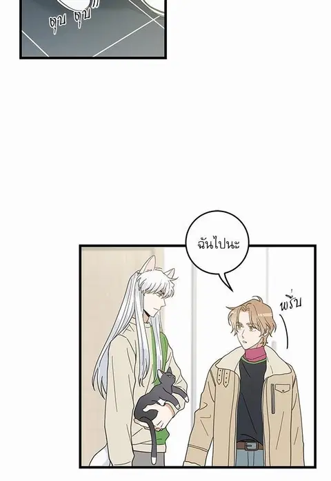 My one and only cat ตอนที่ 26 หน้า 2