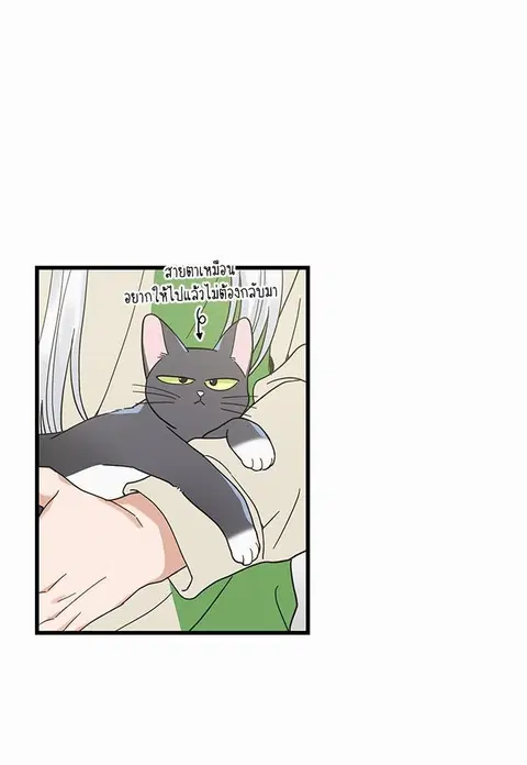 My one and only cat ตอนที่ 26 หน้า 3