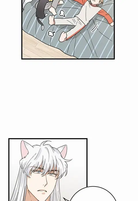 My one and only cat ตอนที่ 27 หน้า 3