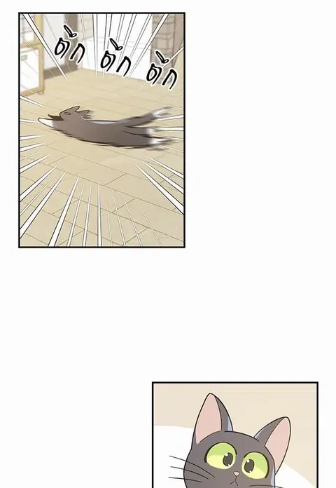My one and only cat ตอนที่ 28 หน้า 3