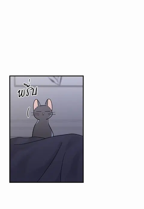 My one and only cat ตอนที่ 32 หน้า 3