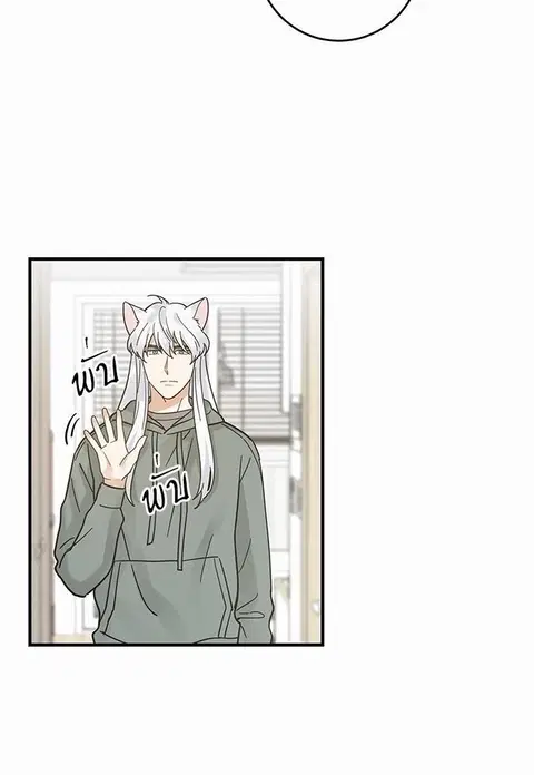 My one and only cat ตอนที่ 33 หน้า 2