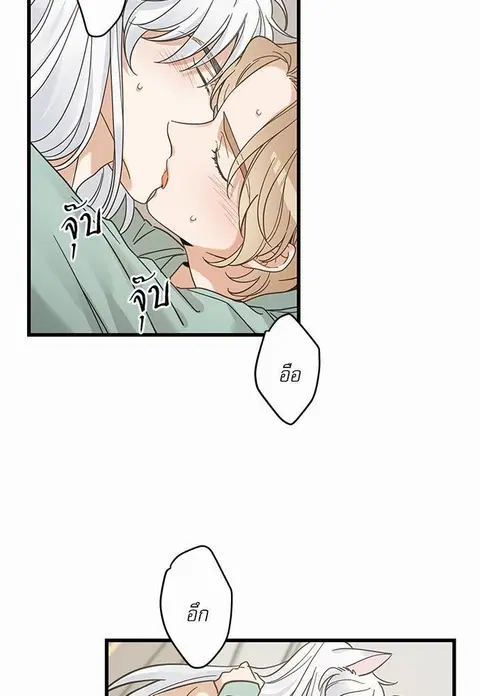 My one and only cat ตอนที่ 40 หน้า 3