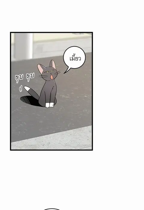 My one and only cat ตอนที่ 42 หน้า 3