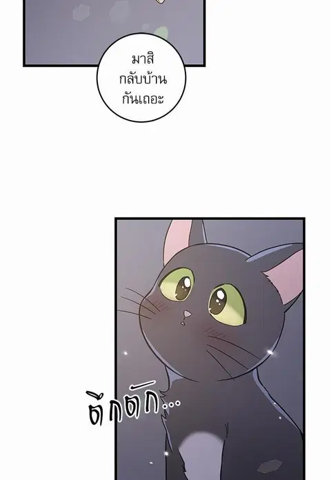 My one and only cat ตอนที่ 49 หน้า 2