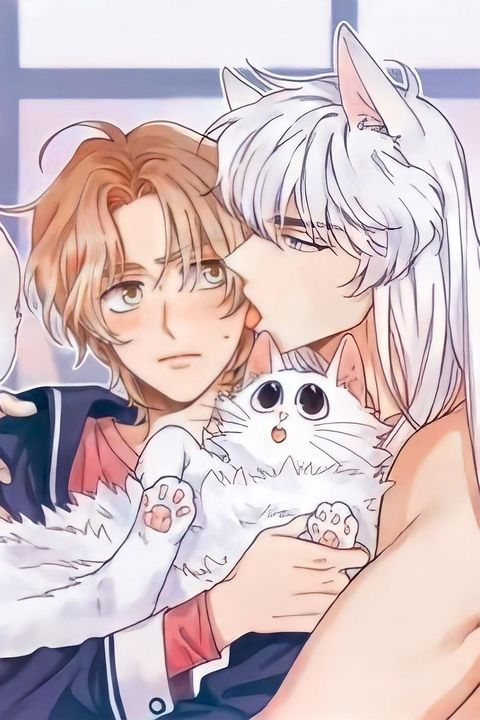 ปก My one and only cat มังงะเกาหลี แปลไทย