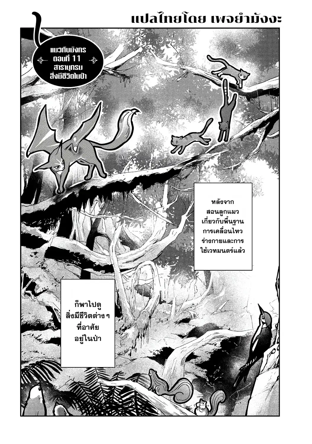 Neko to Ryuu ตอนที่ 11 หน้า 1