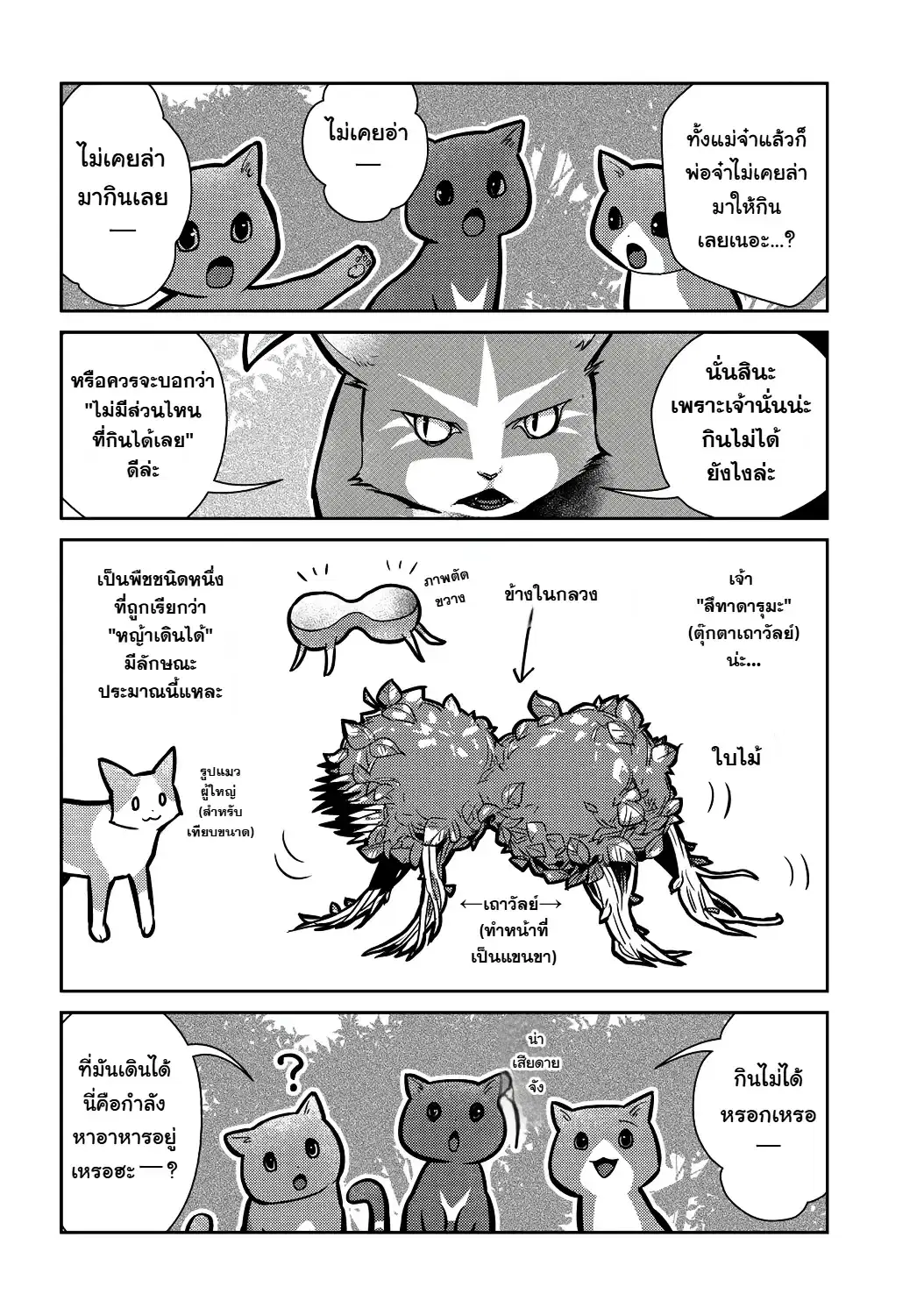 Neko to Ryuu ตอนที่ 11 หน้า 3