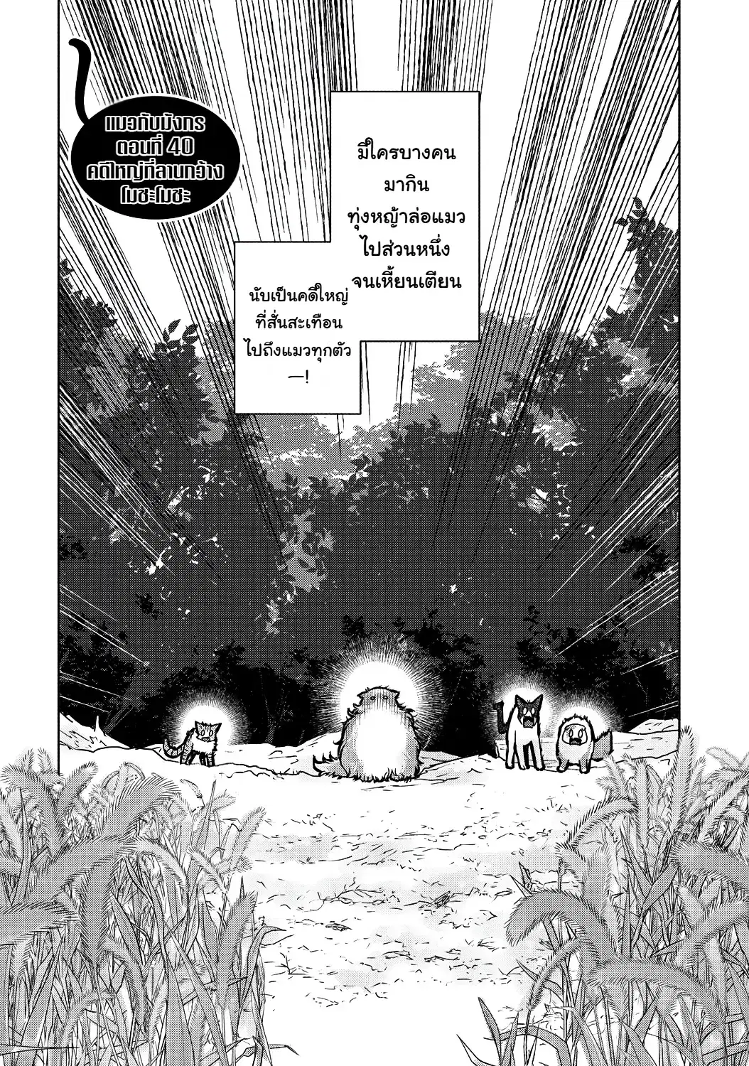 Neko to Ryuu ตอนที่ 40 หน้า 2